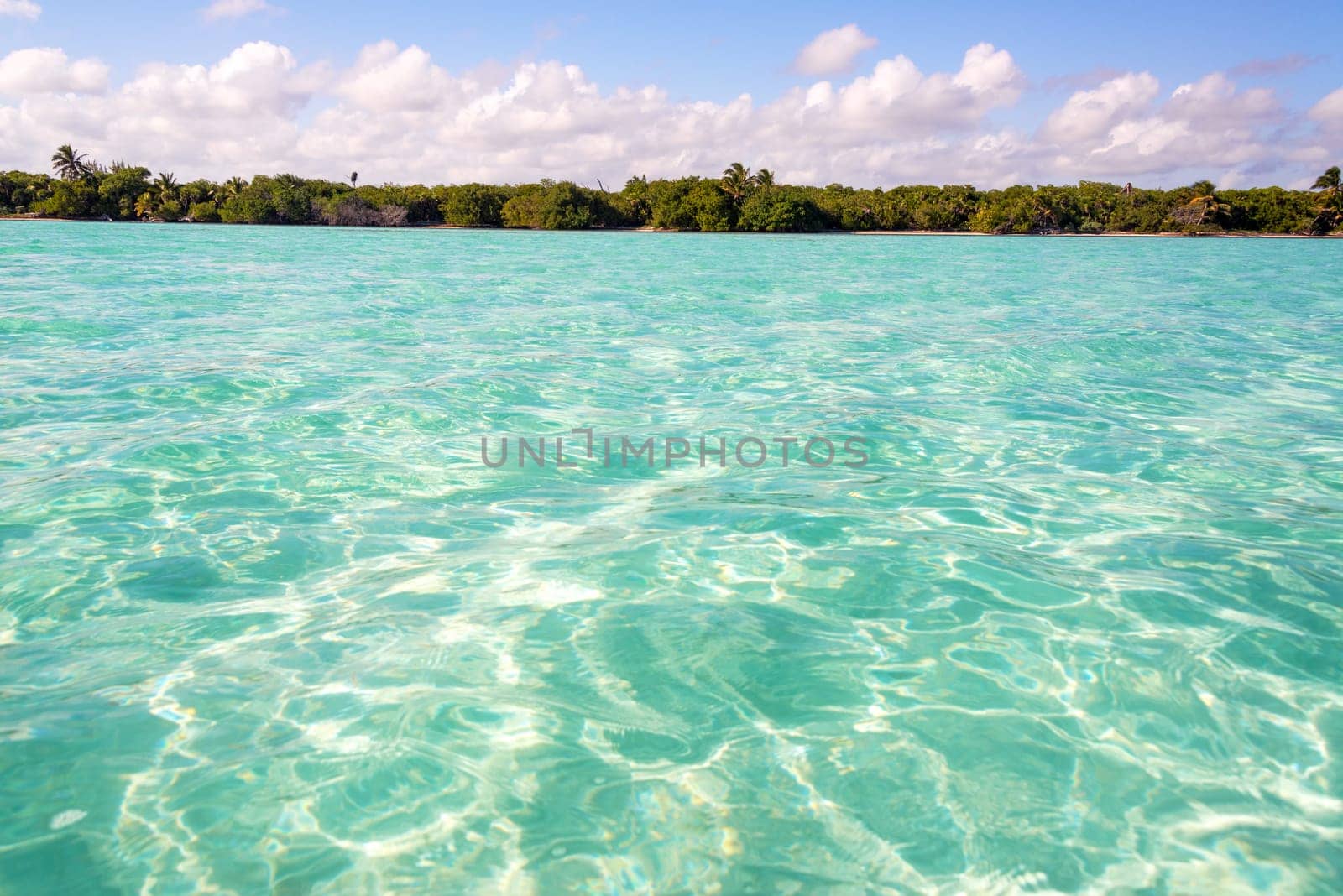 Caribbean Sea and coast in the Sian Kaan Biosphere Reserve near Tulum, Mexico