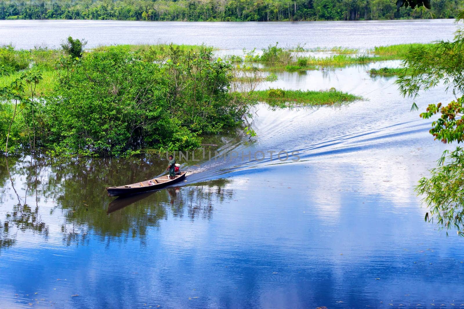 PALMARI, BRAZIL - MARCH 20: Man on a boat passing through the Amazon Rainforest near Palmari, Brazil on March 20, 2015