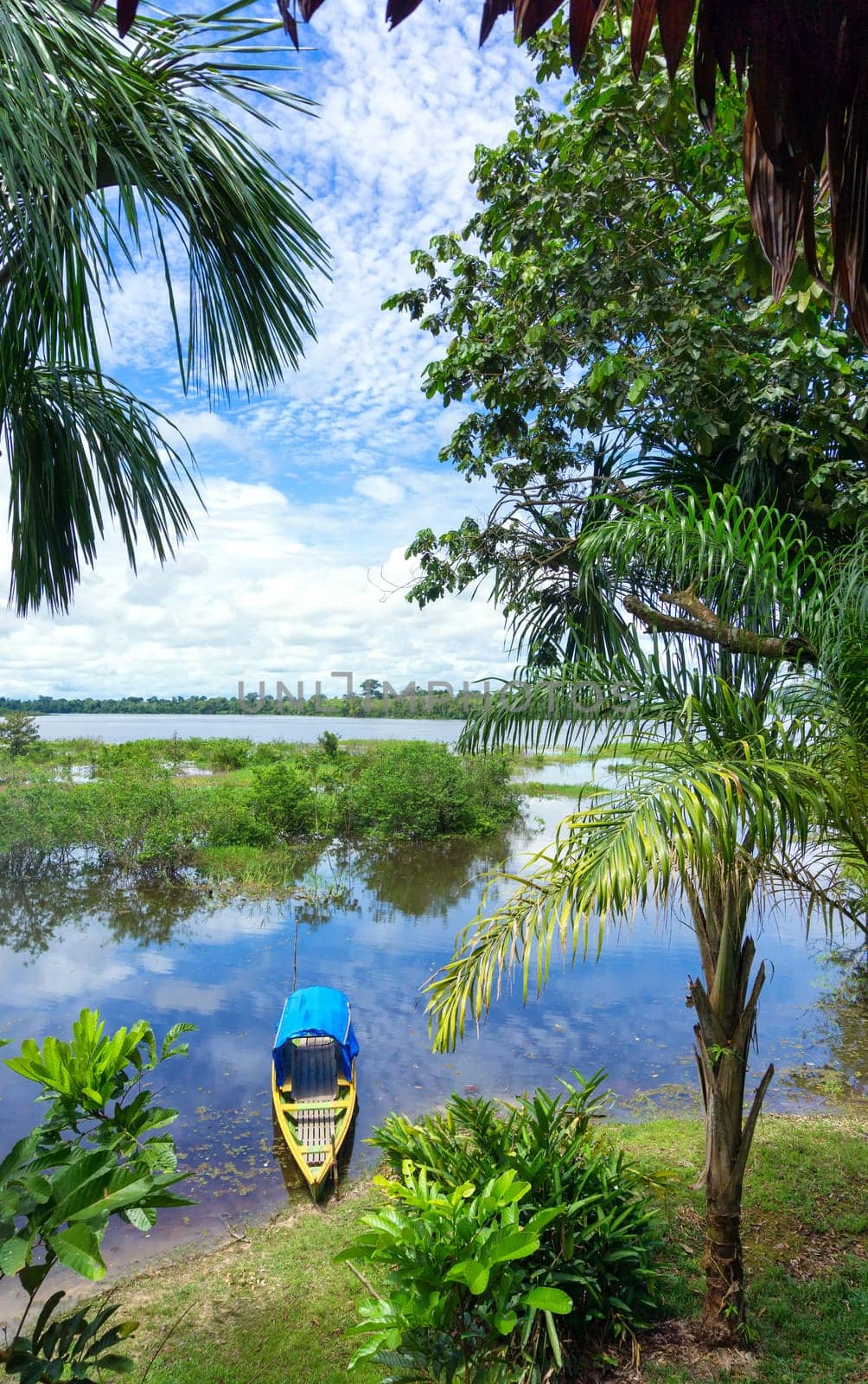 Vertical view of a canoe in the Amazon Rainforest in Brazil