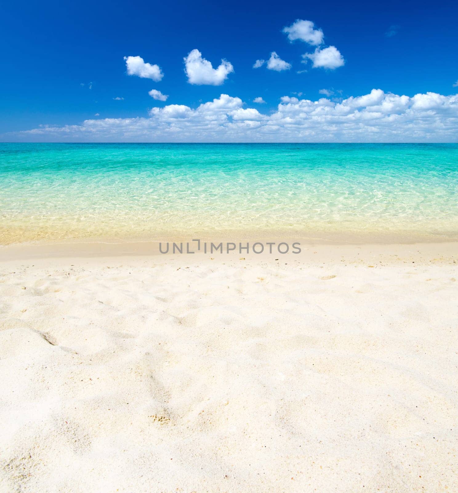 beach and tropical sea