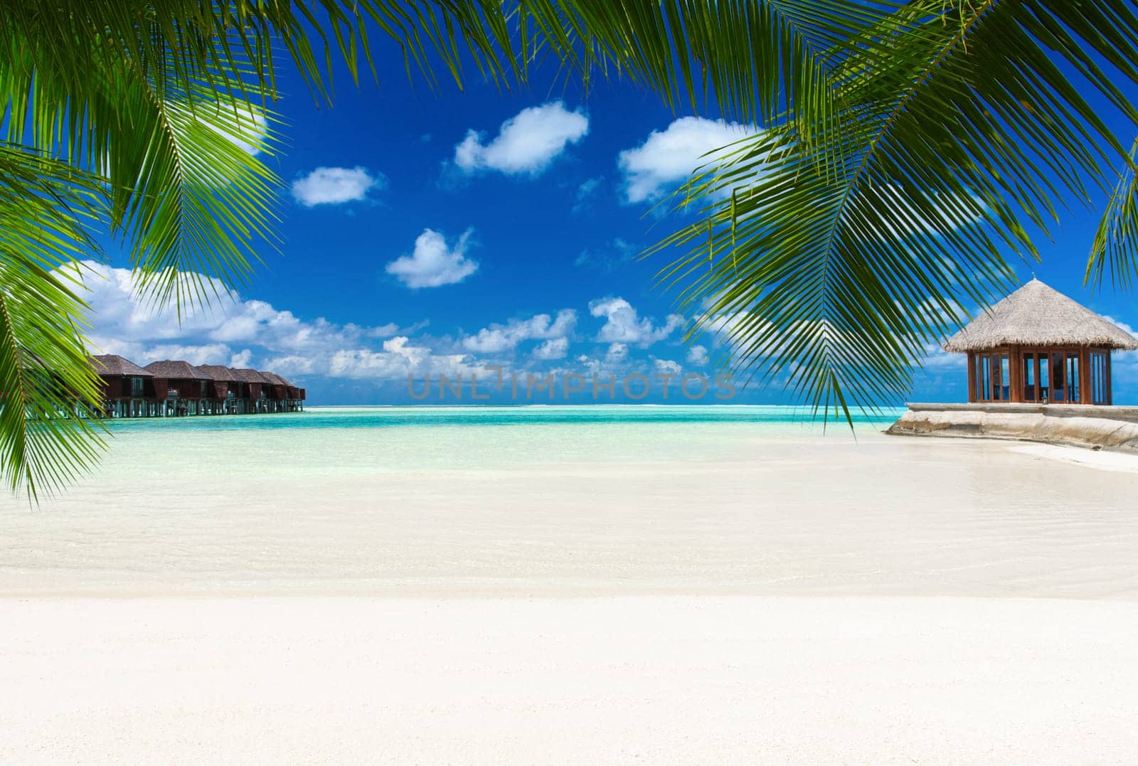 tropical beach in Maldives with few palm trees and blue lagoon