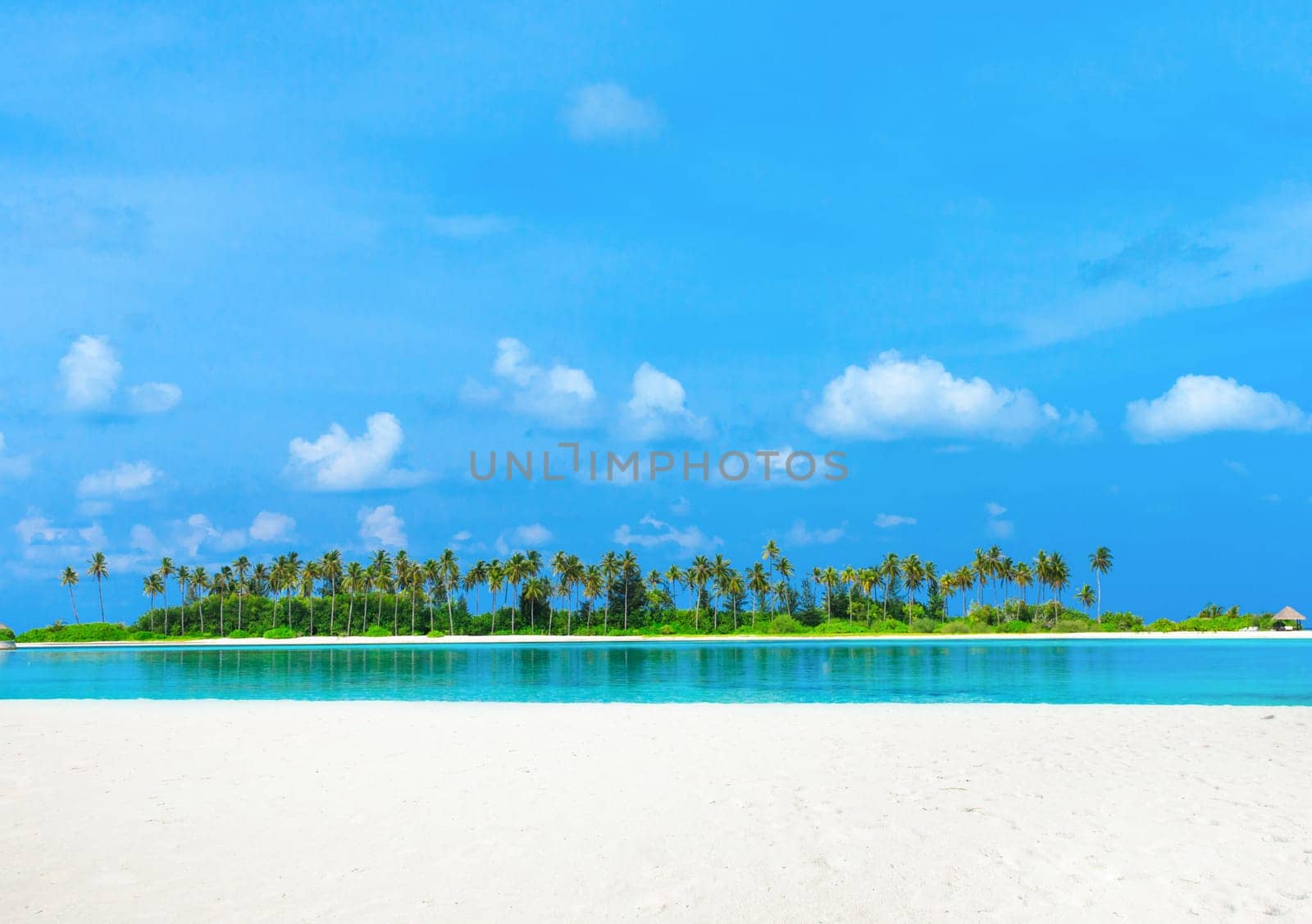 tropical beach in Maldives with few palm trees and blue lagoon