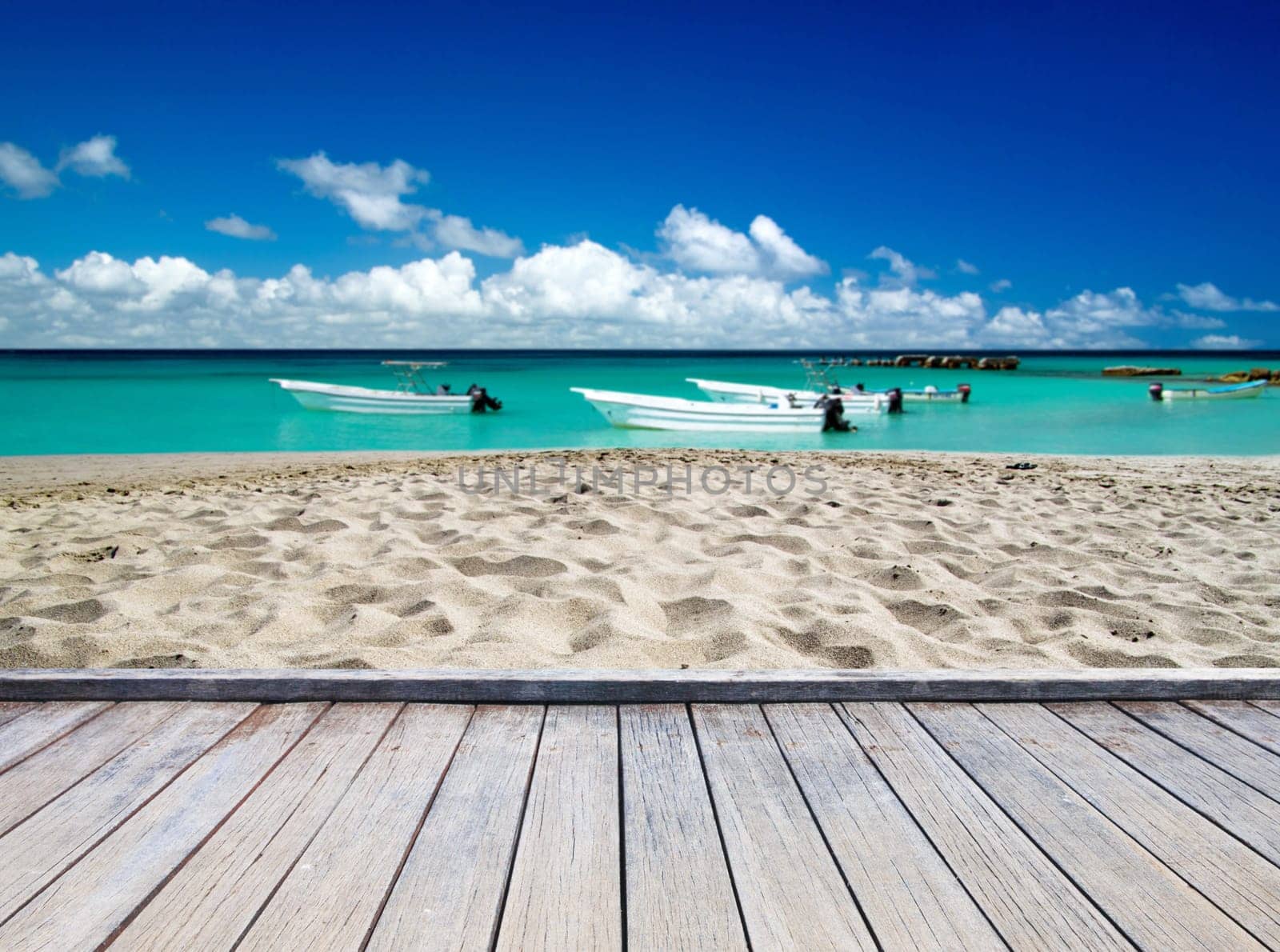 beautiful beach and tropical sea