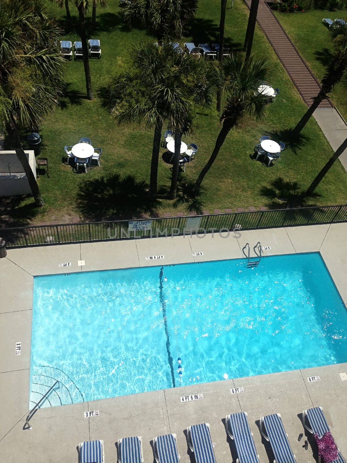 swimming pool view landscape view