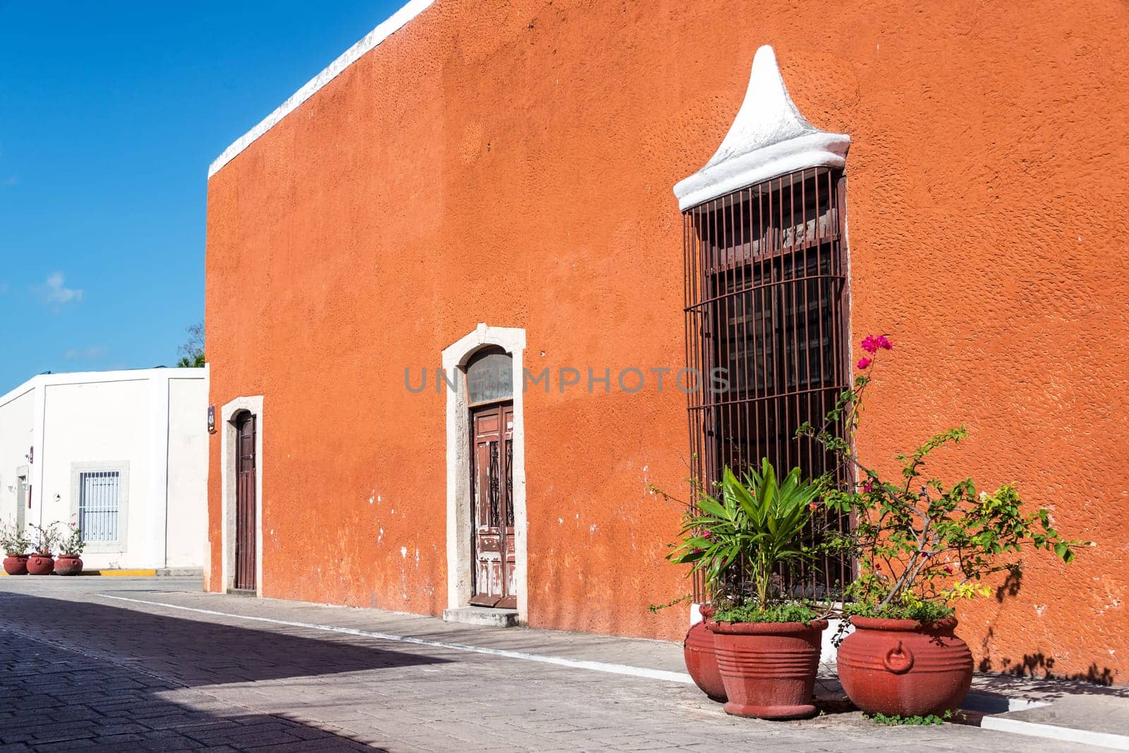 Potted plants and historic colonial buildings in Valladolid, Mexico