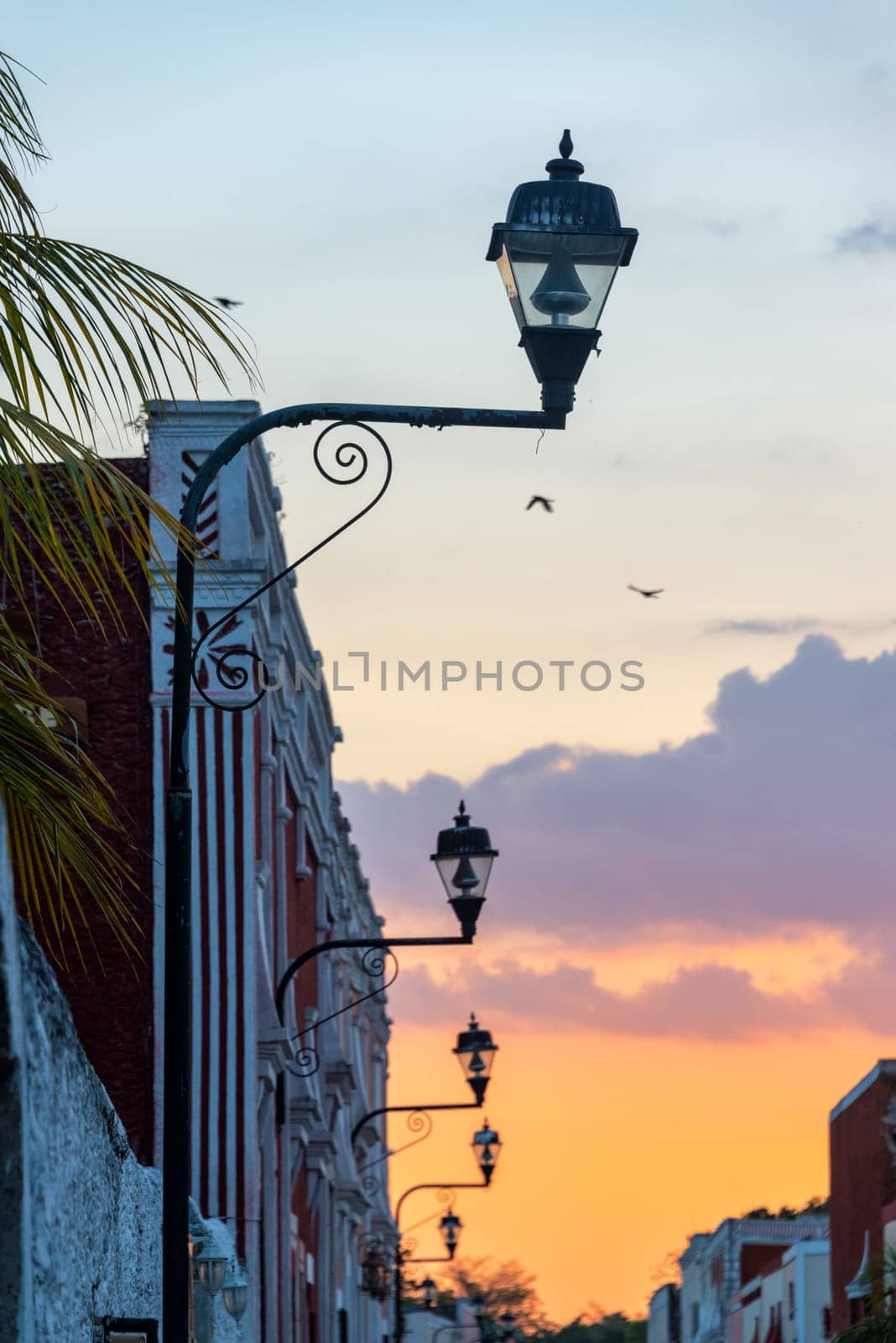 View of street lights and a colorful sunset in Valladolid, Mexico