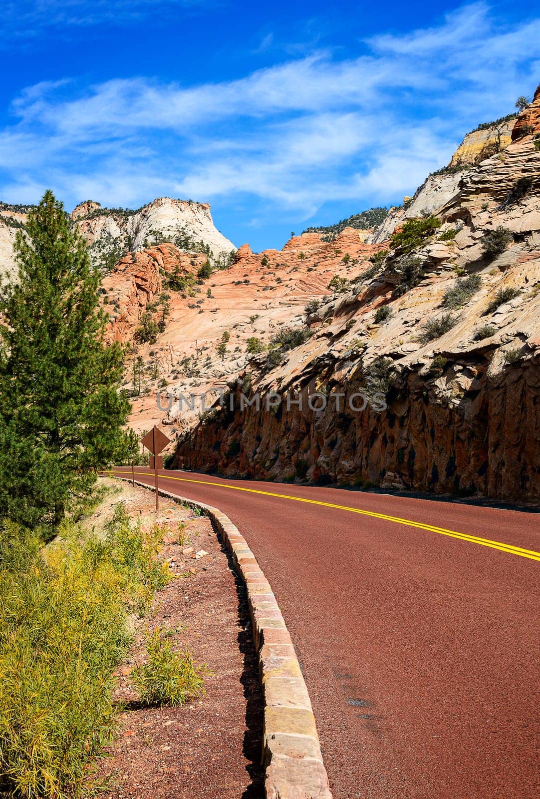 Zion National Park, USA. Scenic multicolored cliffs create an unforgettable landscape