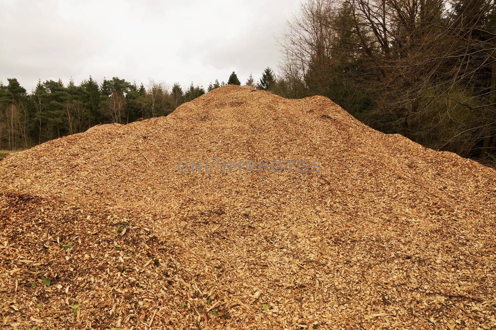 Large pile of shredder wood