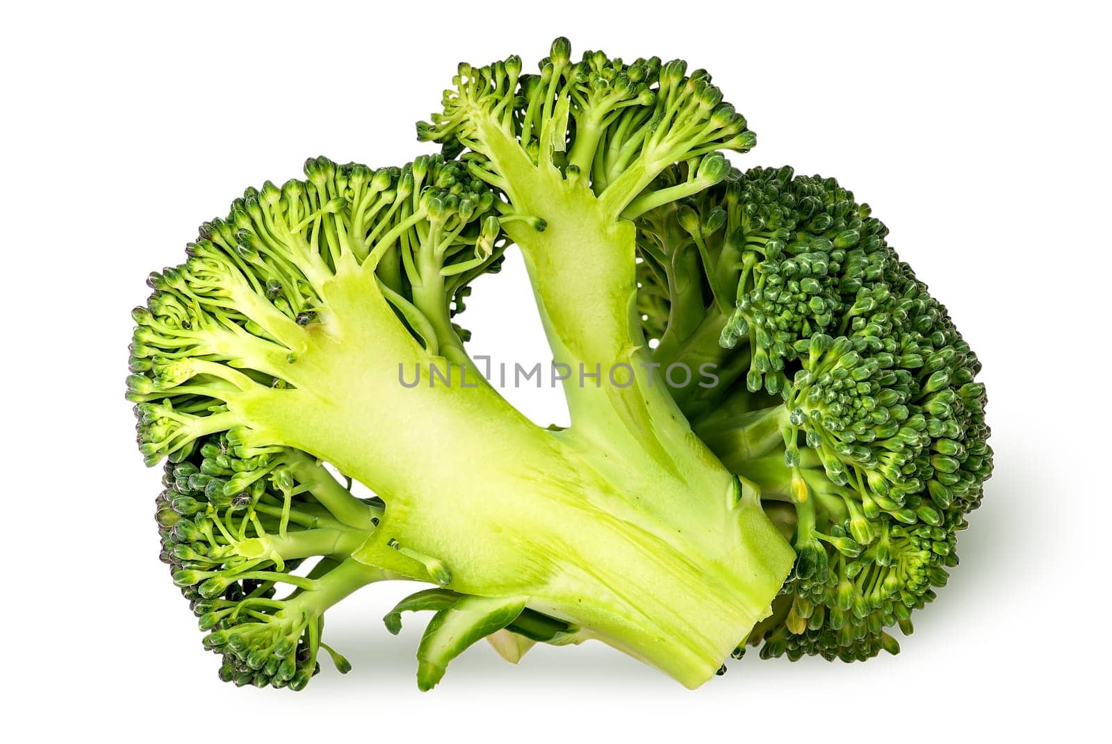 Closeup of whole and half broccoli isolated on white background