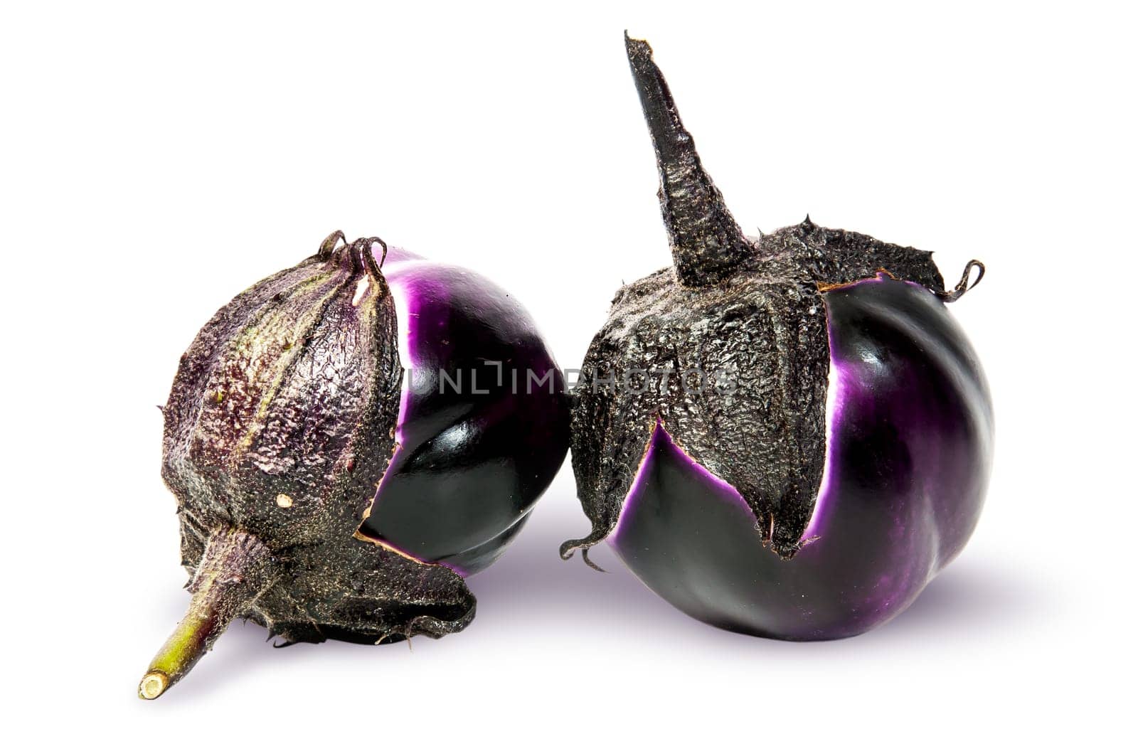 Supine and standing round ripe eggplants isolated on white background