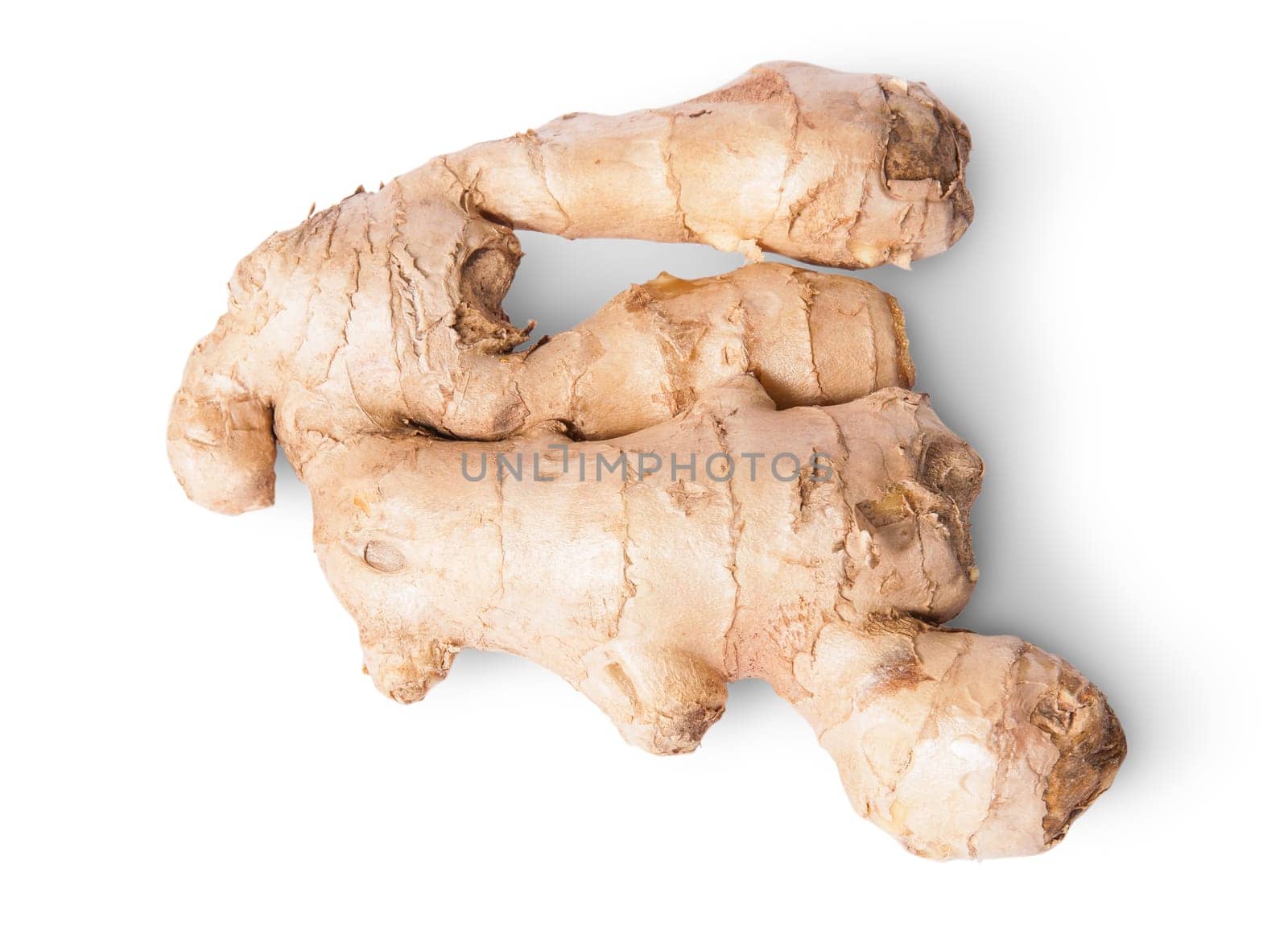 Entire ginger root top view isolated on white background