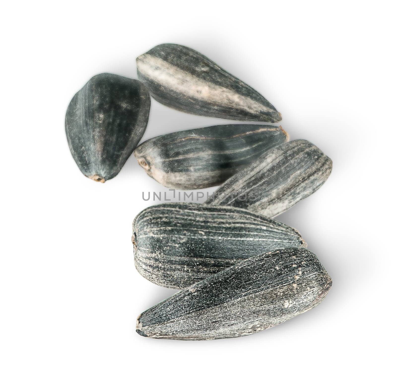 Several sunflower seeds in a row isolated on white background