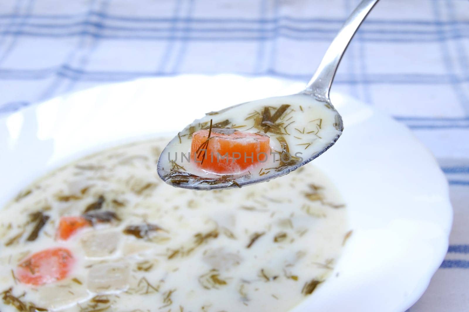 Vegetable soup with milk and spices.
