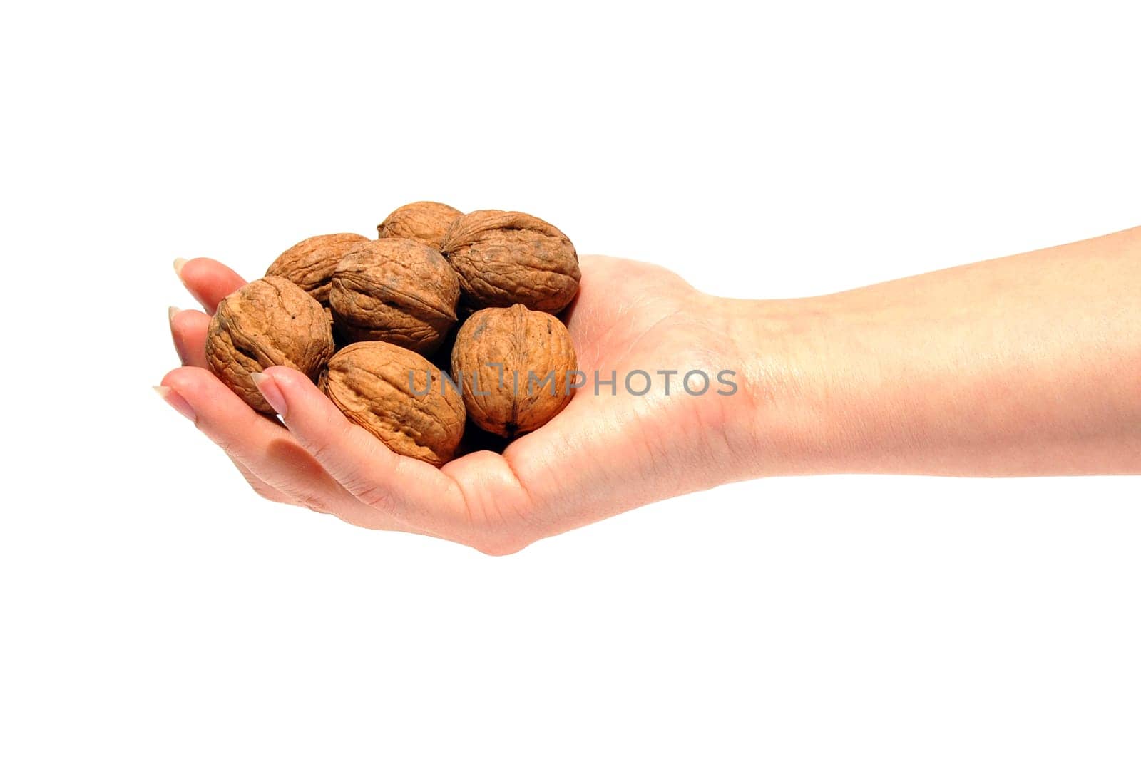 Nuts in shell are in hand on white background.