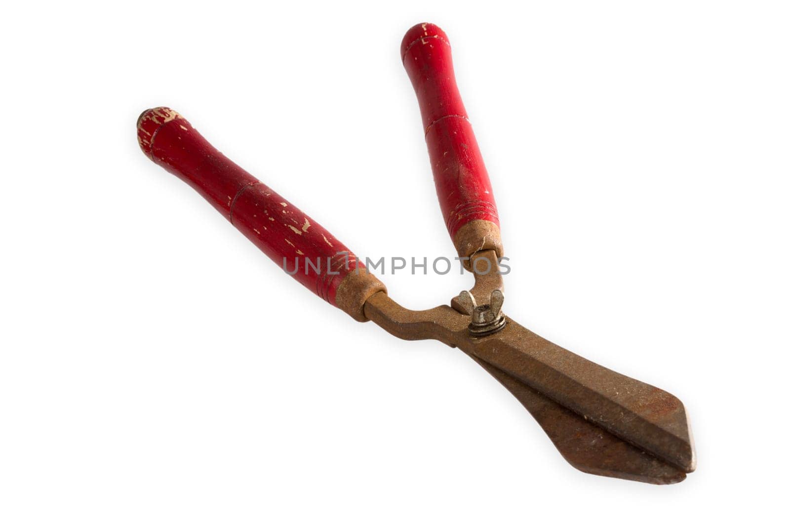 Old rusted pruning shears exposed on light hindr