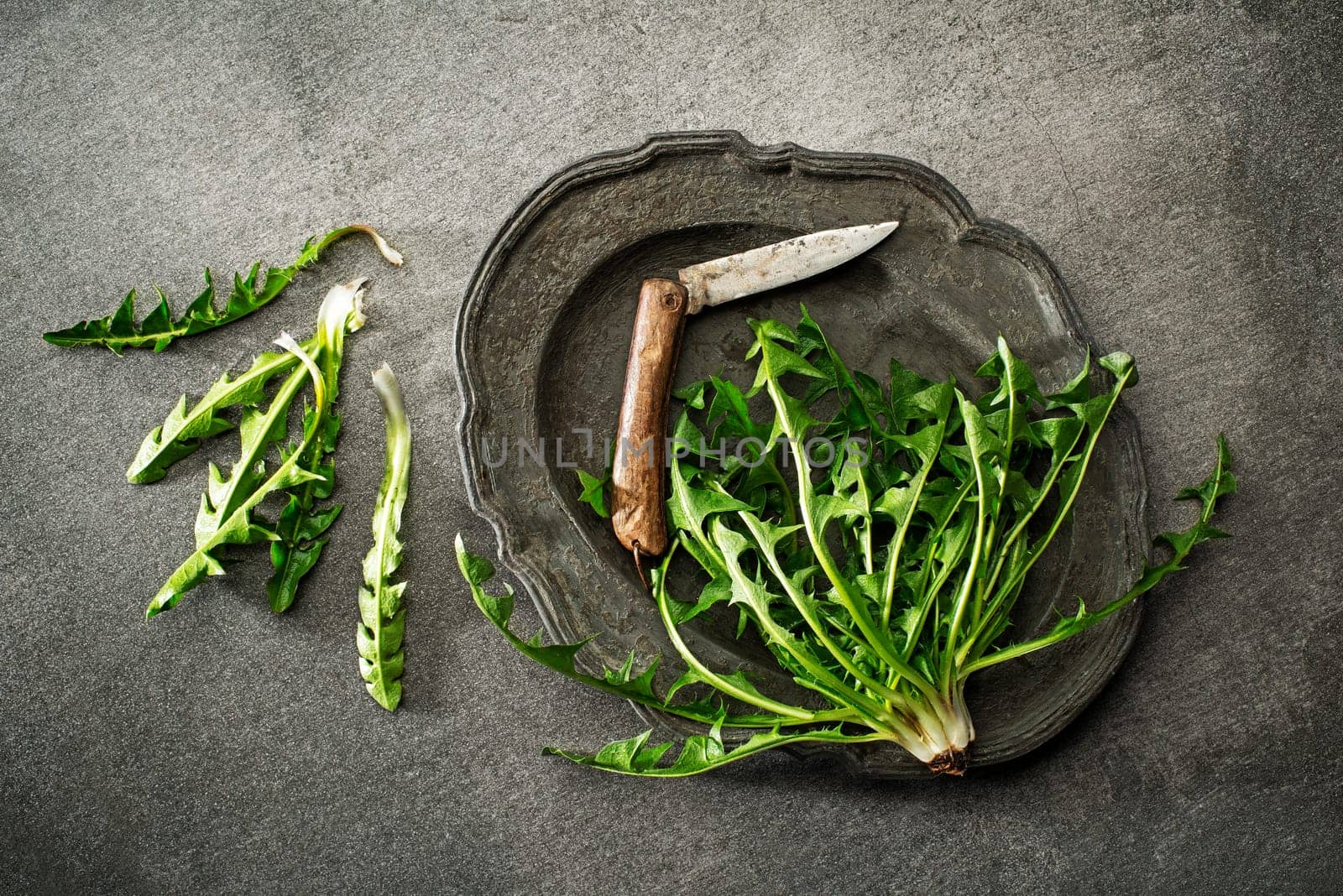 Fresh dandelion with knife on gray background overhead shoot