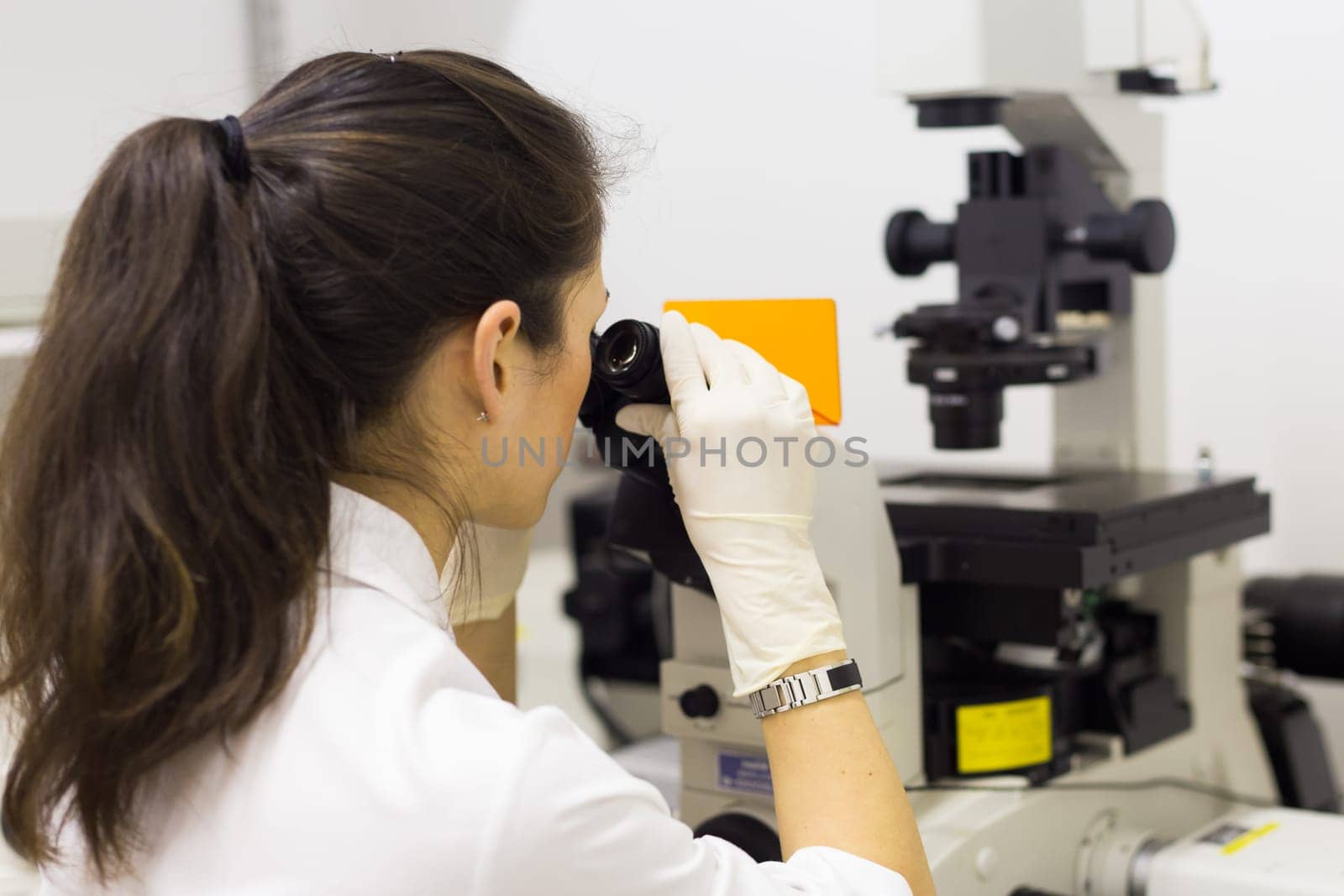 Life science female researcher microscoping in scientific genetic laboratory. Healthcare and biotechnology.