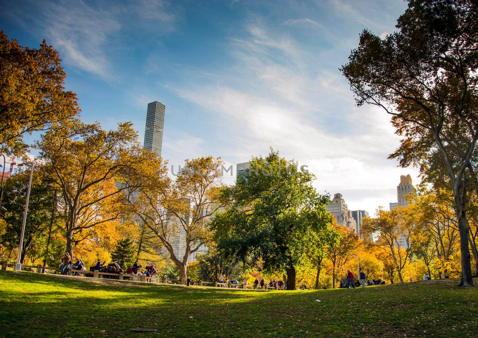 New York, USA, november 2016: Central park at sunny day , New York City