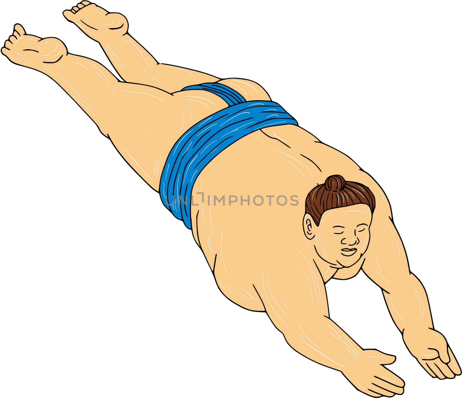 Drawing sketch style illustration of a Japanese sumo wrestler diving into water viewed from front set on isolated white background.