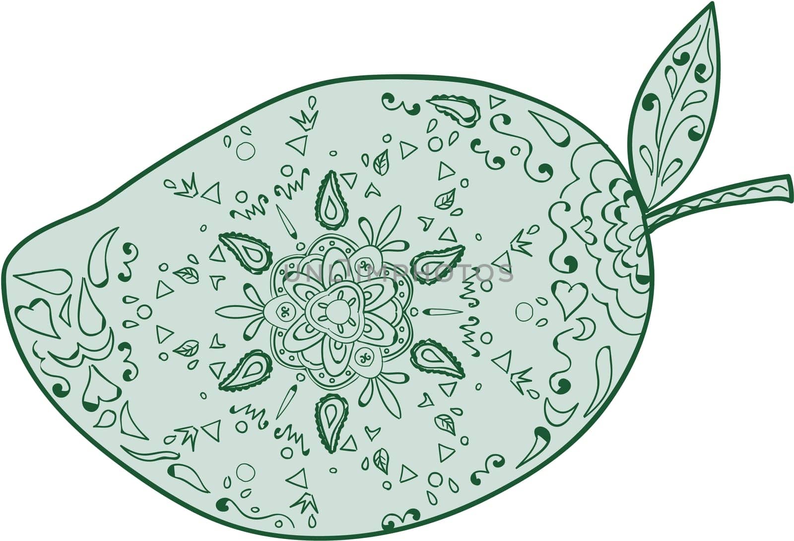Mandala style illustration of  a green mango, a juicy tropical stone fruit drupe belonging to the genus Mangifera set on isolated white background.