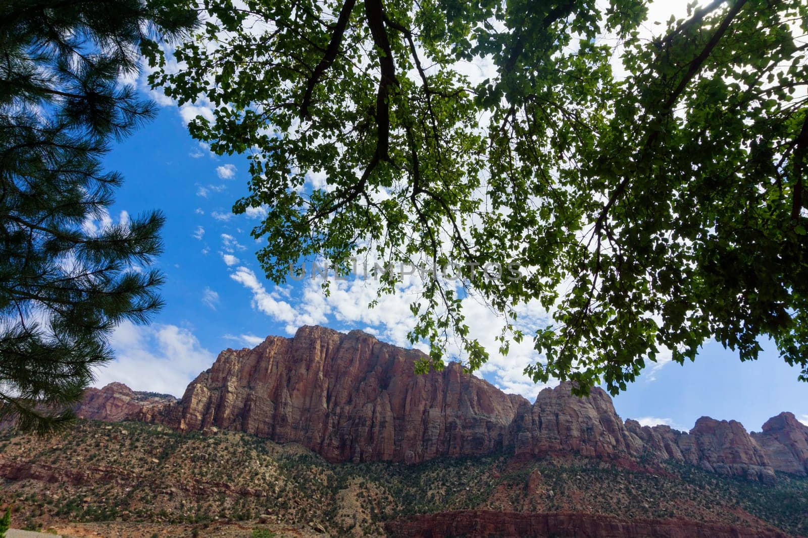 Beautiful view of Zion National Park in Utah
