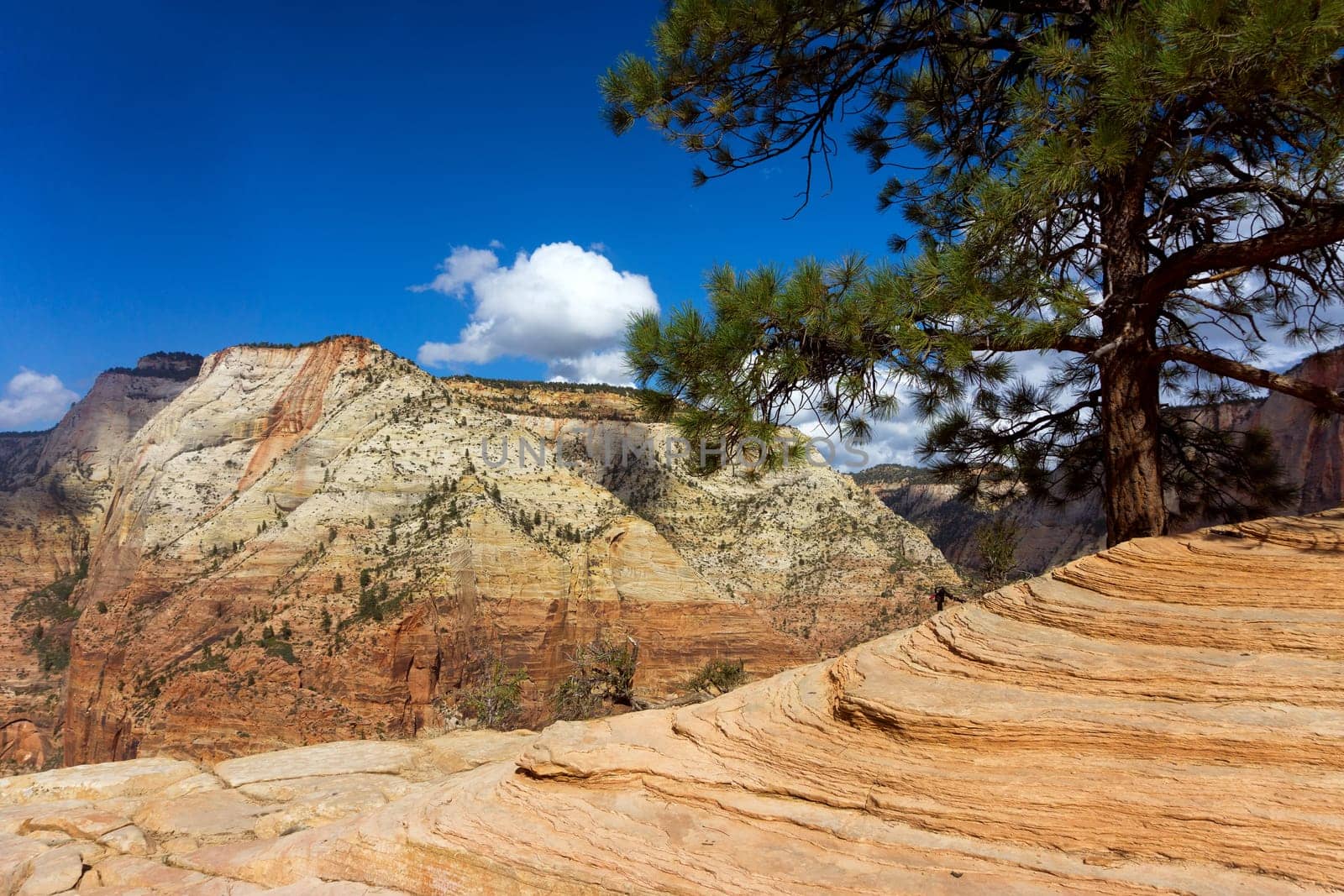 Colorful view of Zion Canyon from Angels Landing in Zion National Park in Utah