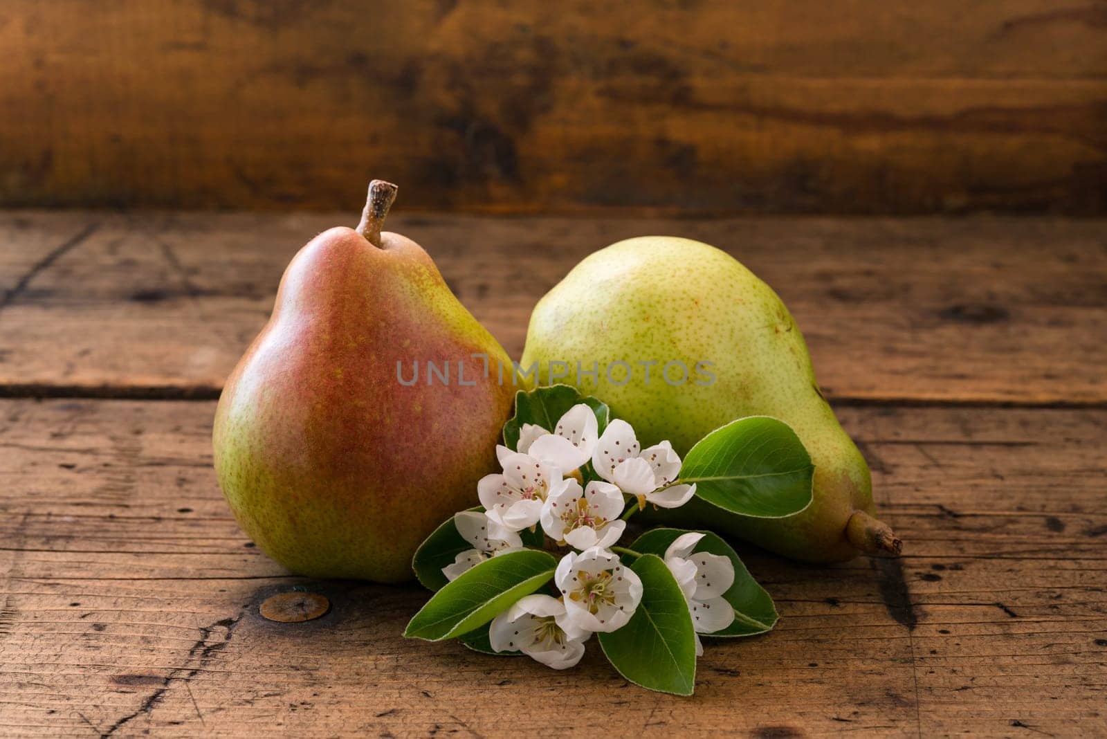 Red pear, flowering pear, on vintage dark wood background.