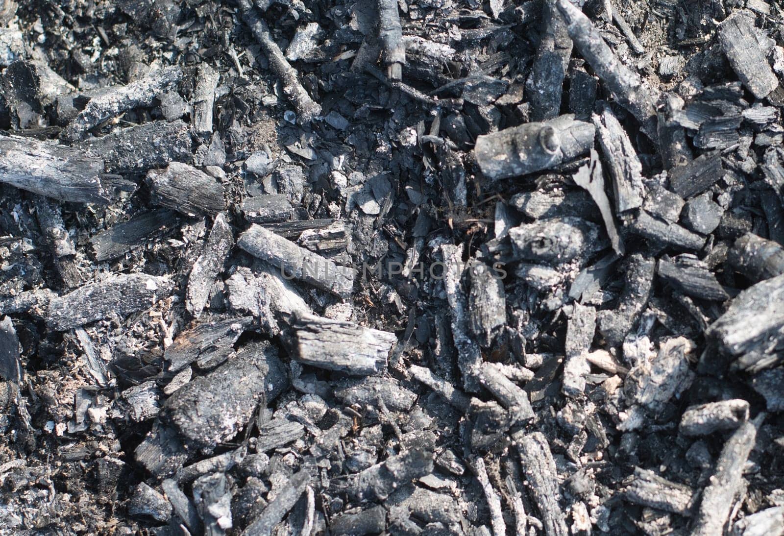close up on burned land,background or texture