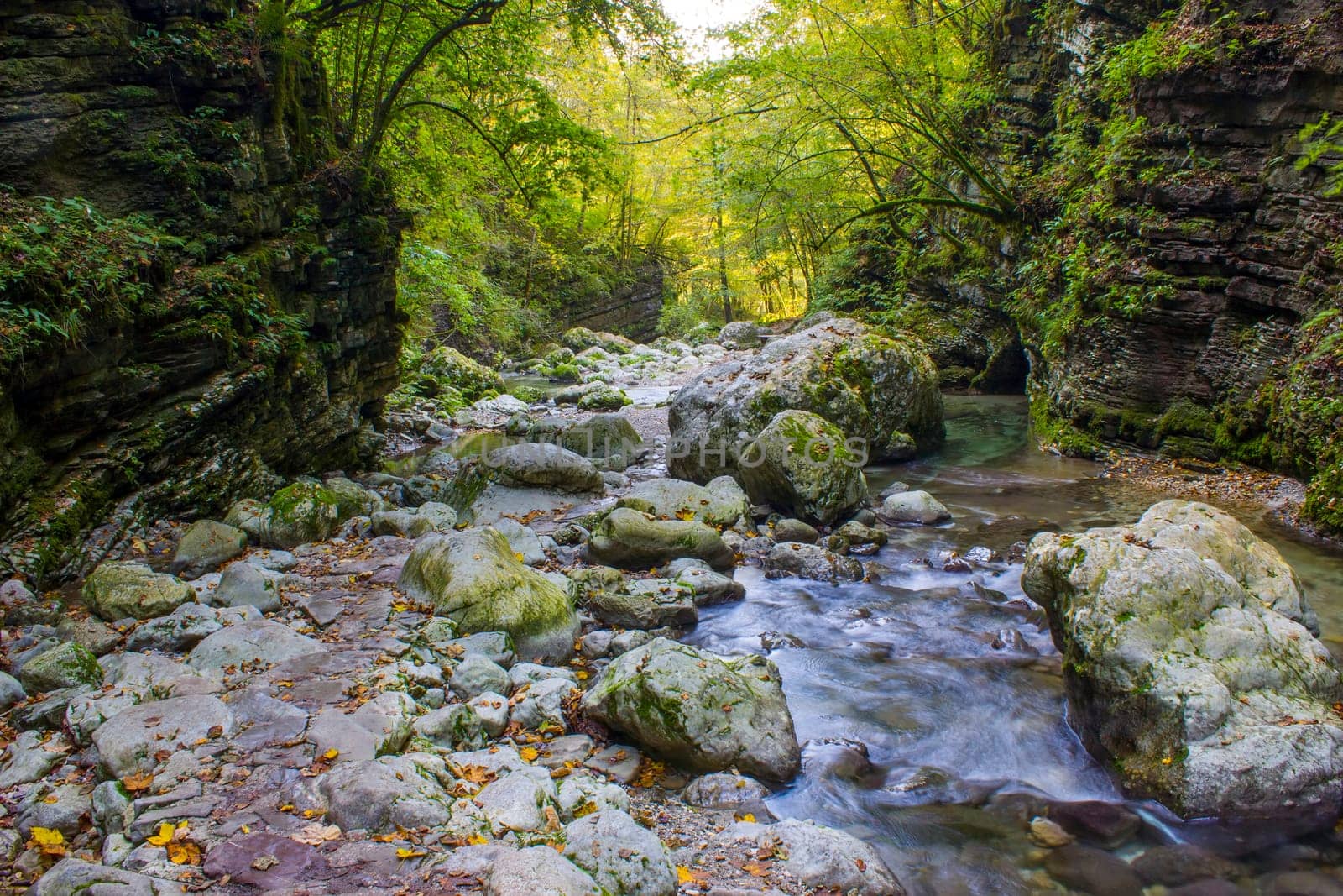 River stream in colorful autumn forest (stream Kozjak, Soca valley, Slovenia)