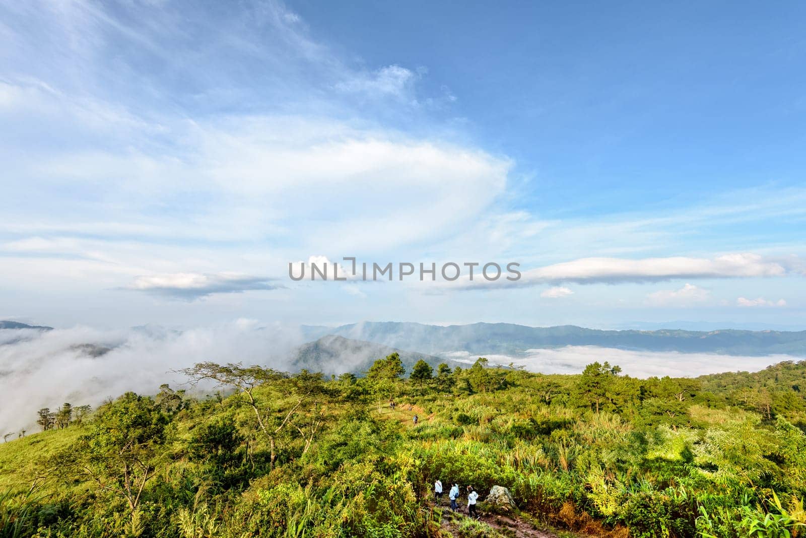 Tourists are walking on nature trails amidst the beautiful landscape of mountain range sky cloud and fog in the winter at Phu Chi Fa Forest Park, Chiang Rai Province, Thailand