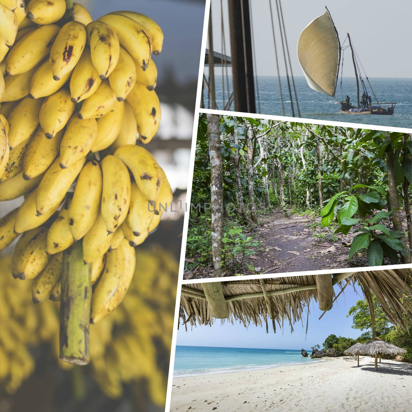 Collage of Zanzibar images - travel background (my photos)