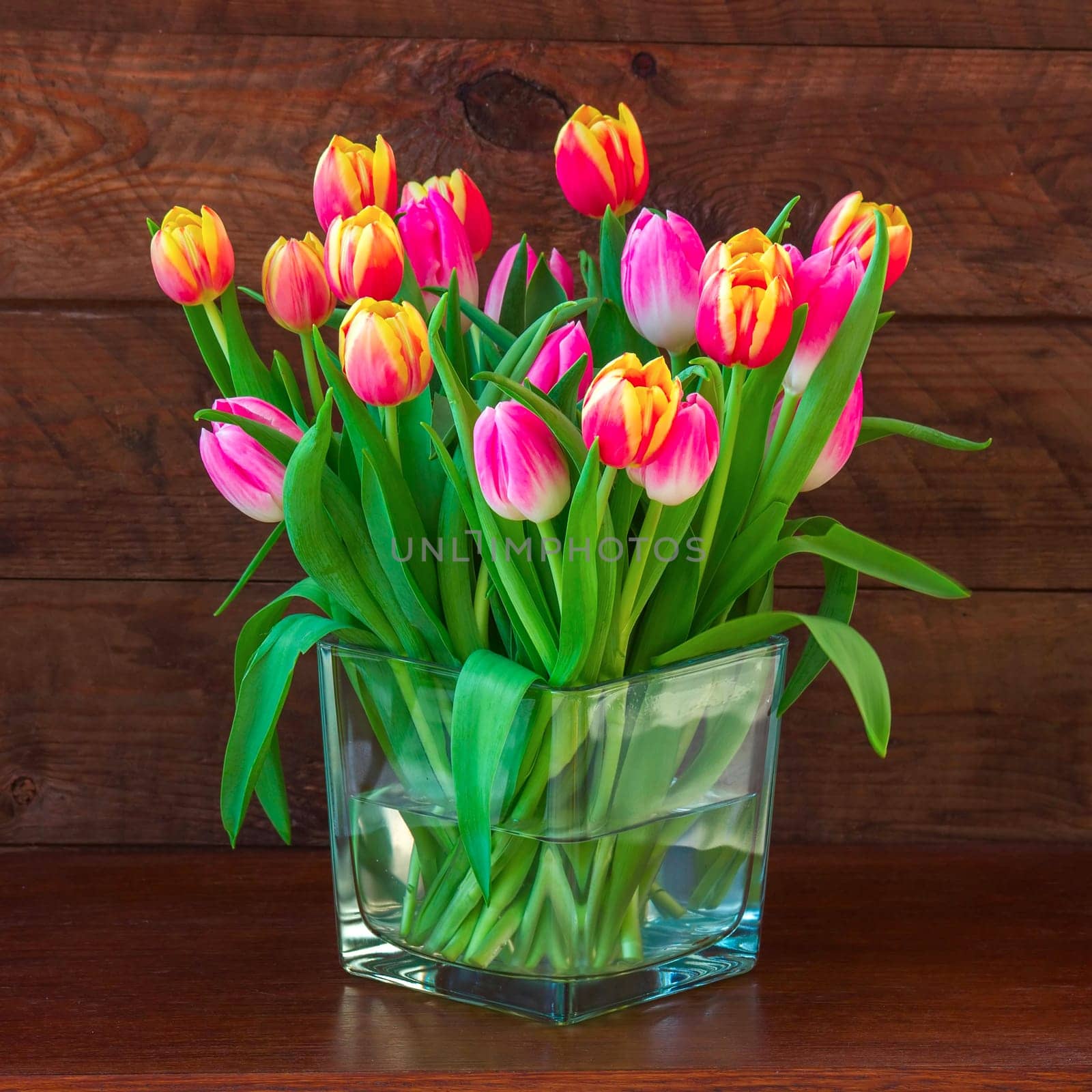 tulips in a vase