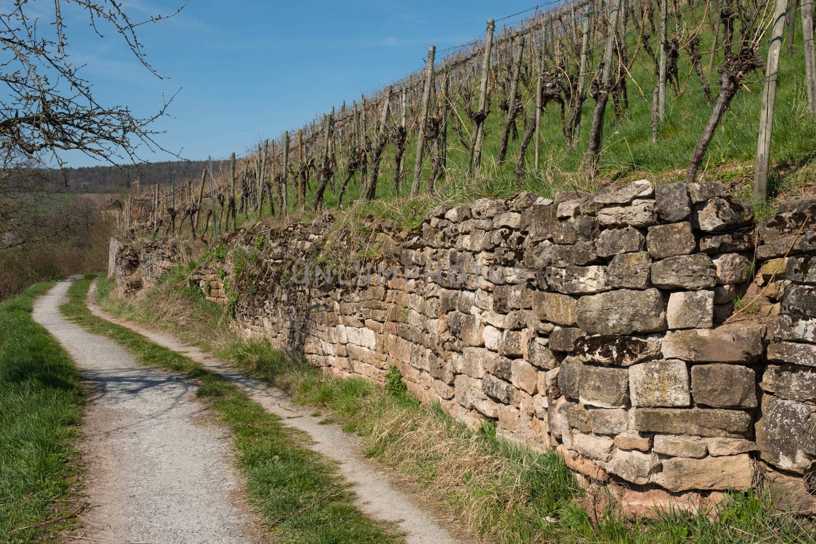 Old stone wall in the vineyard in Germany
