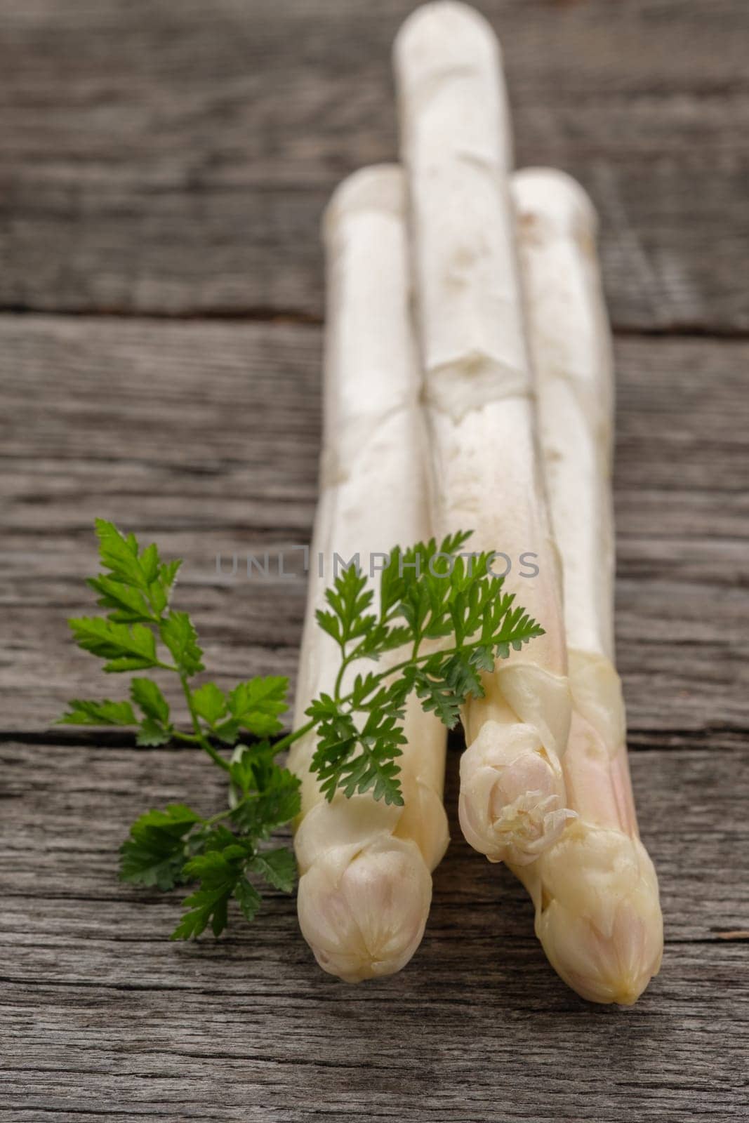 Asparagus white and raw with green chervil in portrait format