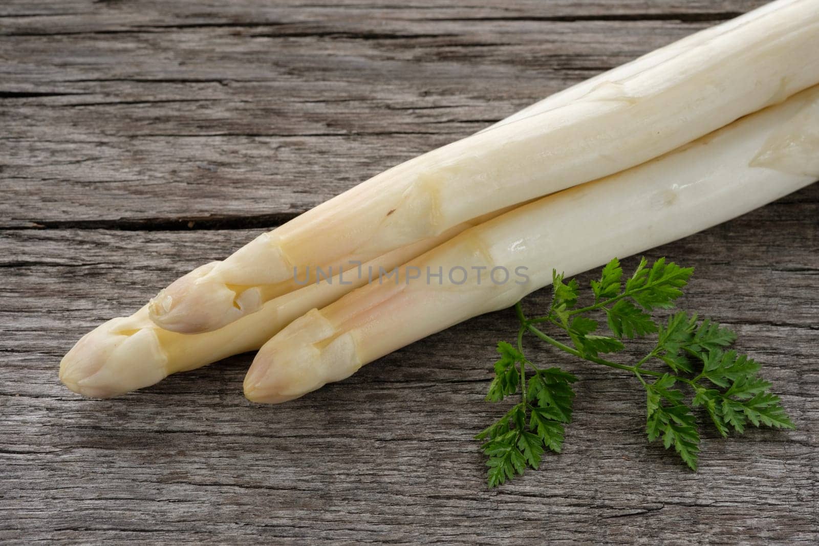 Asparagus white and raw with green chervil as a close-up
