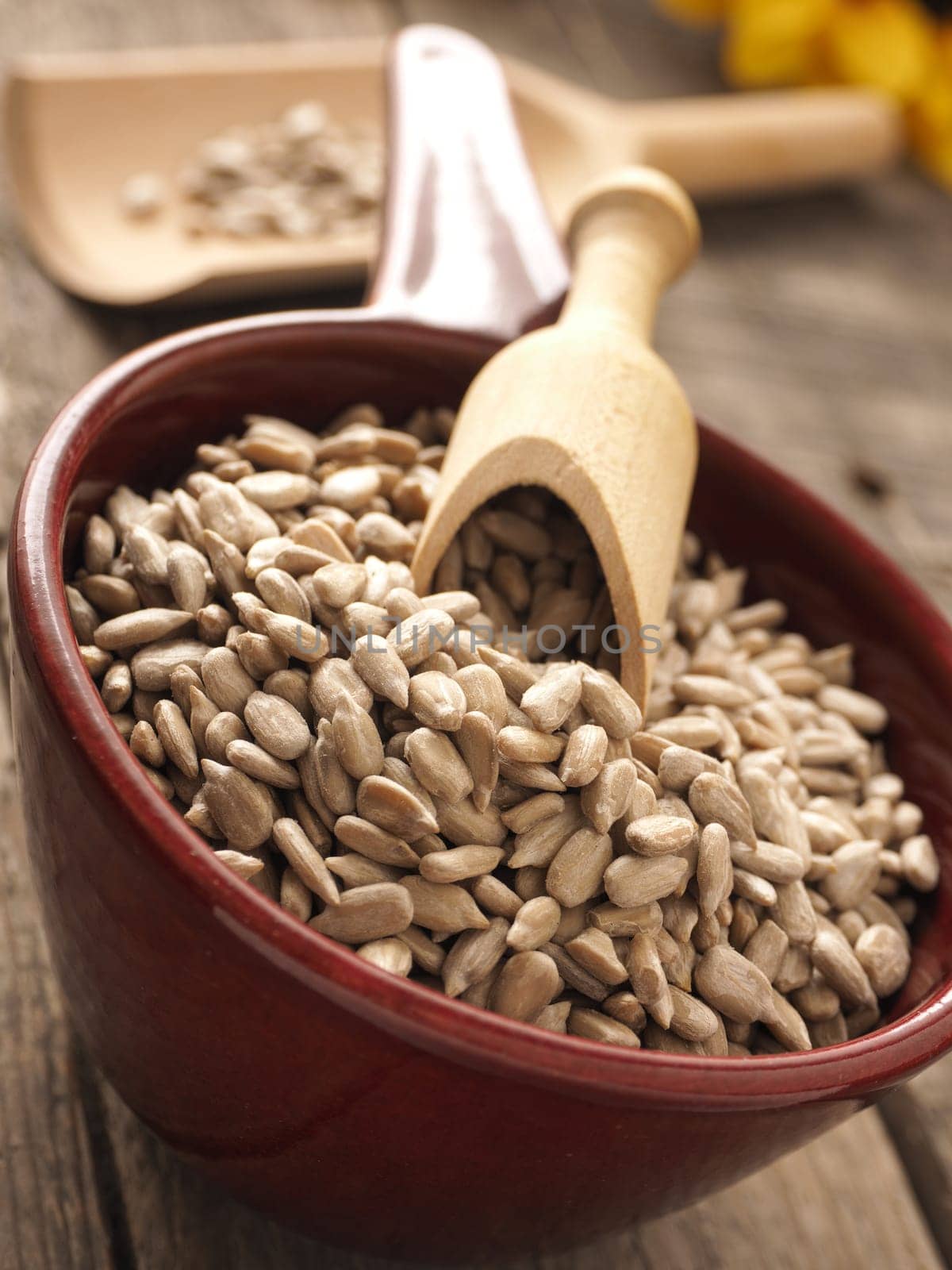 Raw sunflower seeds in a red bowl with a wooden spoon, healthy food or ingredients, close up shot with selective focus