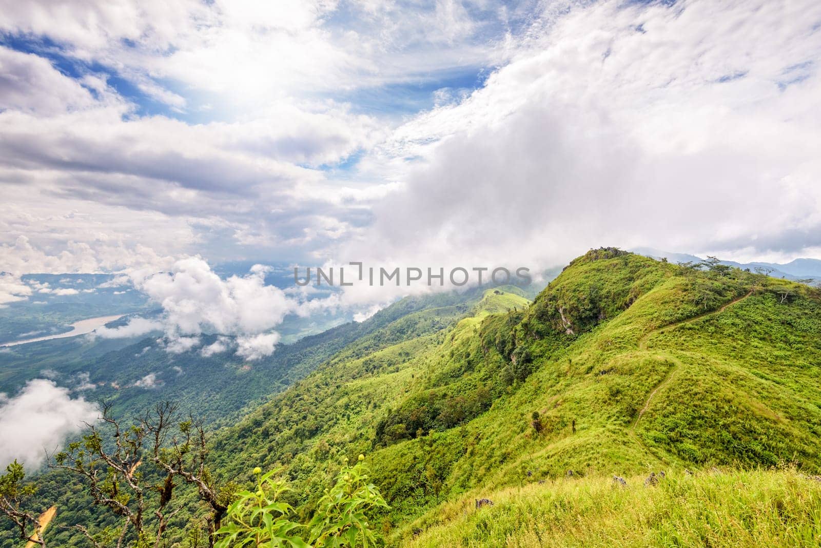 Beautiful natural landscape from the high angle view of Mekong River forest and clouds in the sky on the mountain at Doi Pha Tang view point, Chiang Rai Province, Thailand