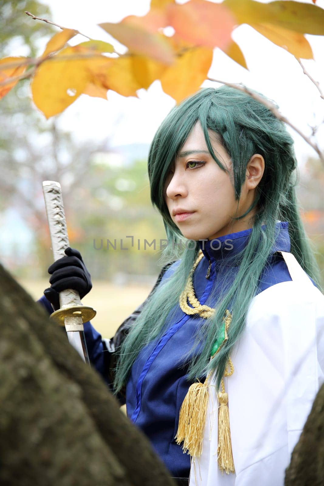 Kagawa, Japan - November 20, 2016: Young japanese girl dressed in cosplay costume at Mamugame-Jou Park. Photo taken in Marugame Cosplay Convention during a meeting of cosplayer.