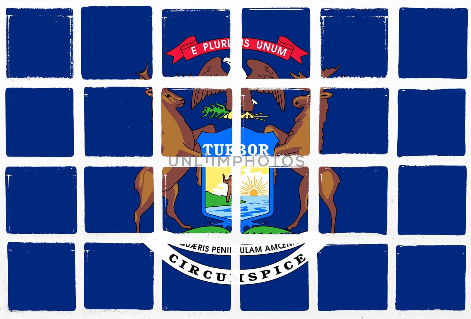 Glazed tiles michigan  flag