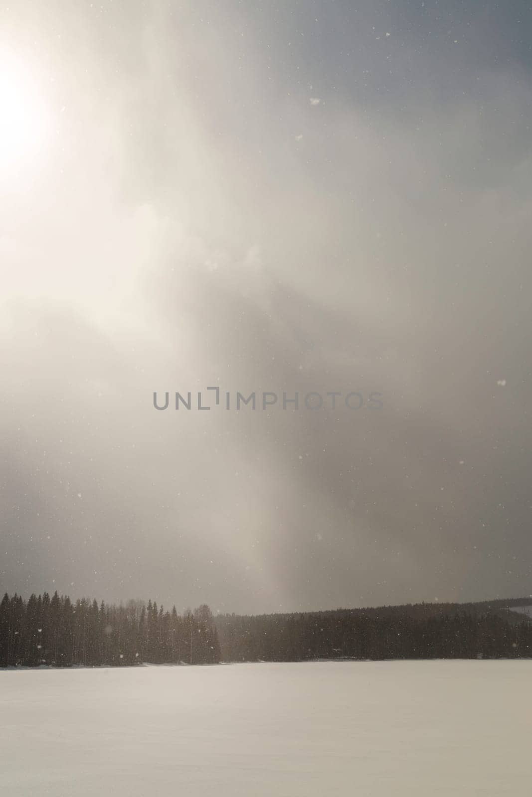 Lake with Forest with Snow Falling and a cloudy sky.