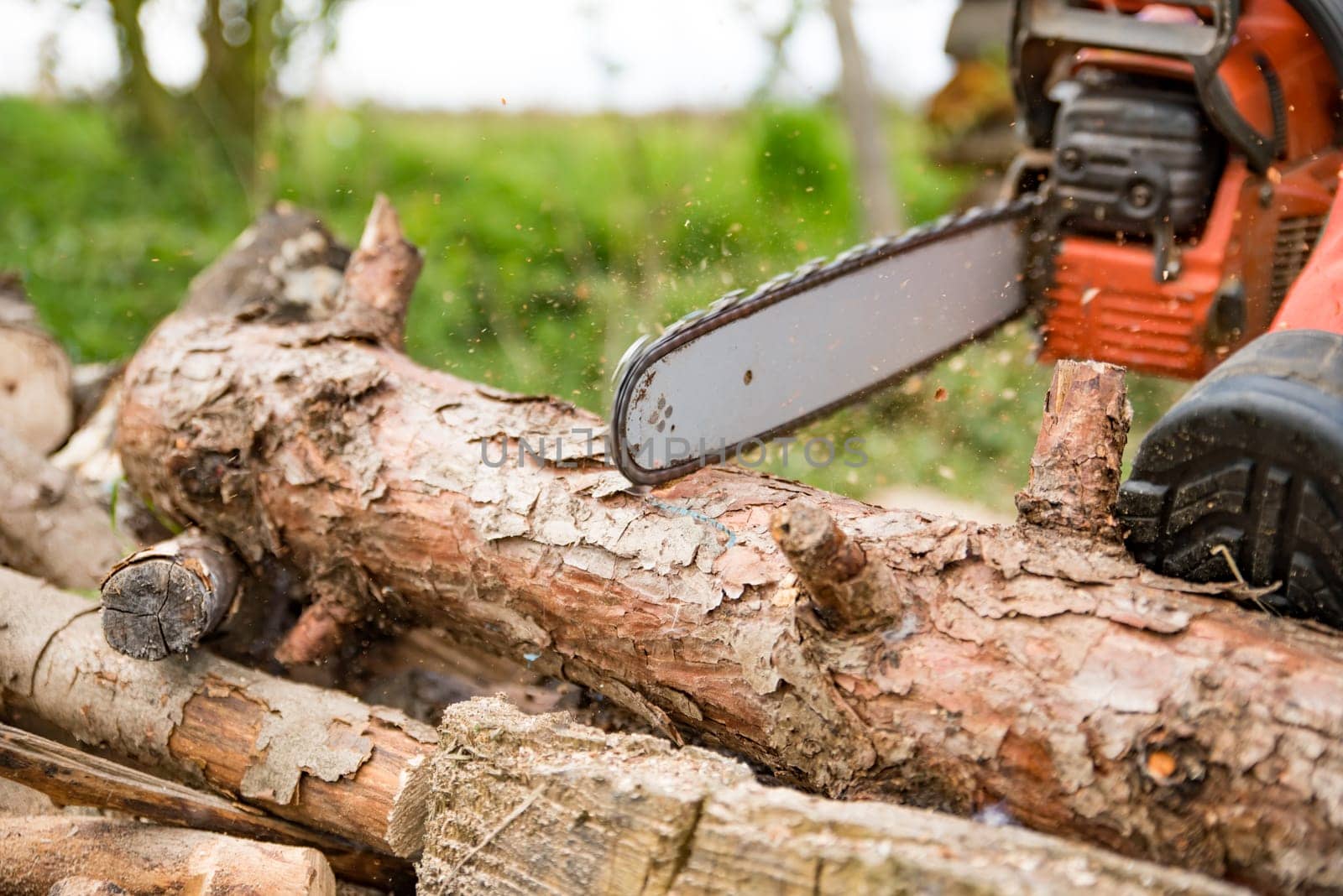 Firewood saws with a chainsaw