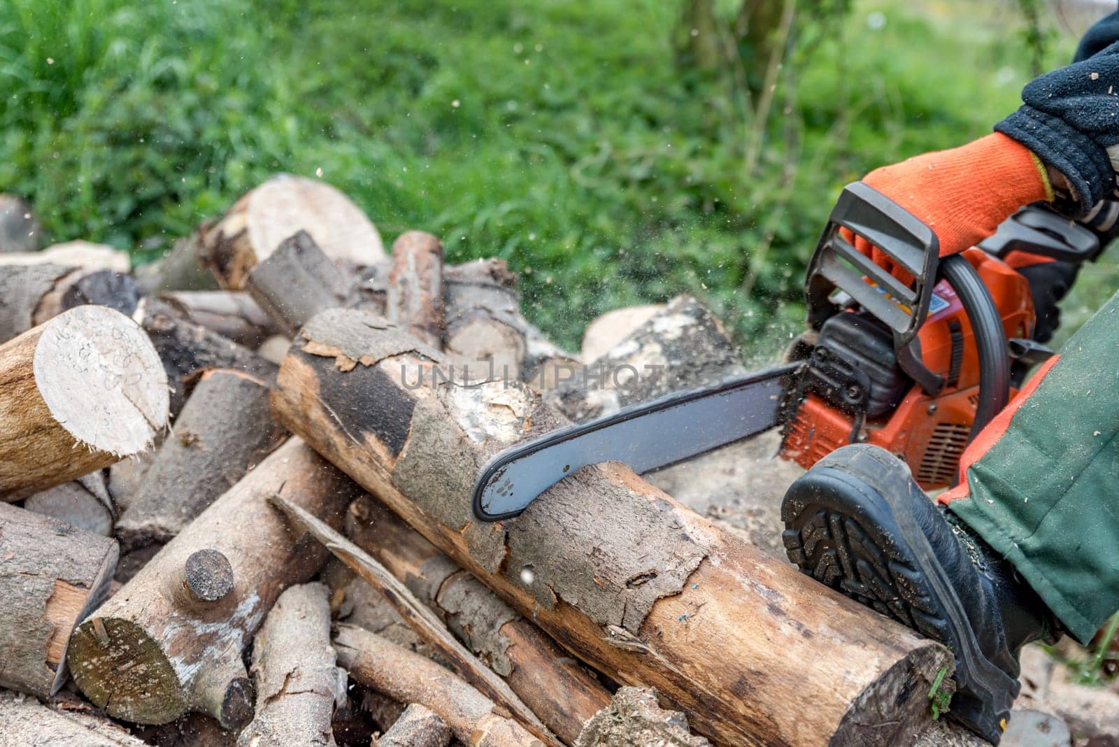 Firewood saws with a chainsaw