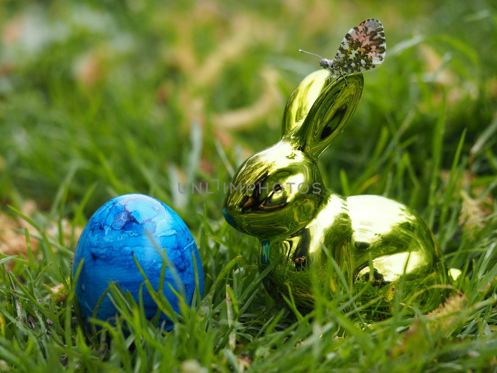 Aurora Butterfly - Easter Egg II.