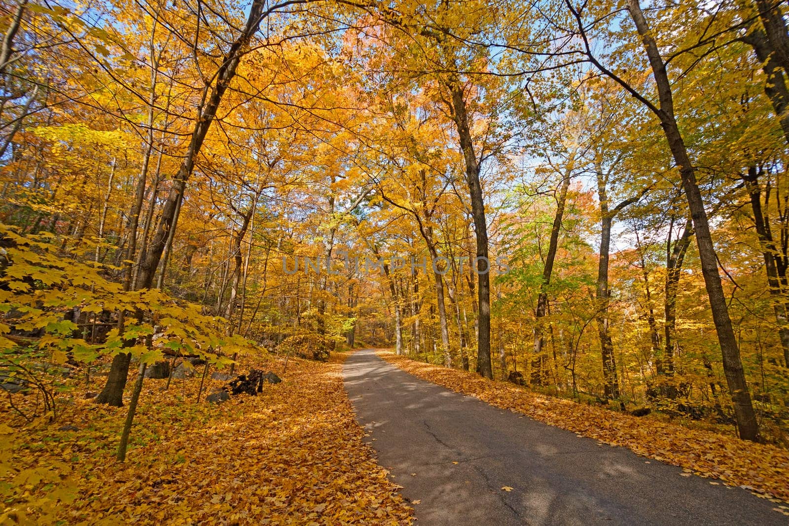 Rural Road in the Fall in Devils Lake State Park in Wisconsin
