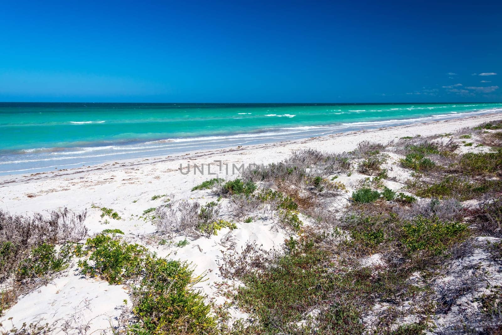 Beautiful deserted beach on the Caribbean Sea near Rio Lagartos, Mexico