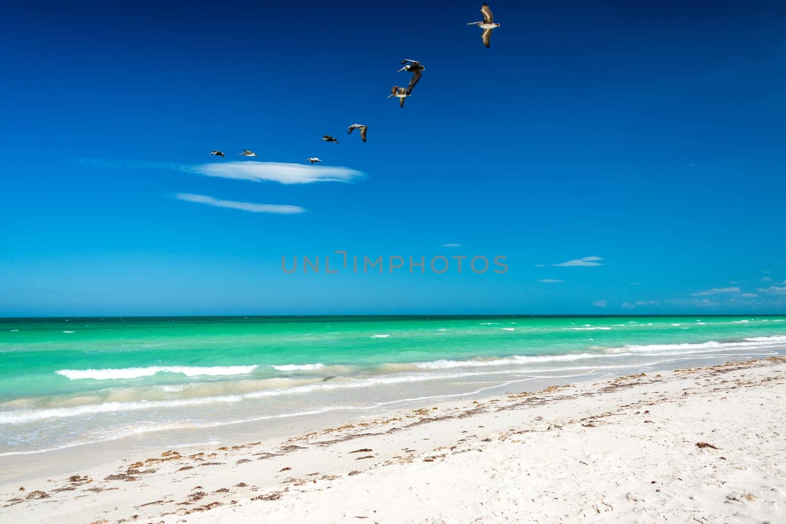 Beautiful white sand beach with pelicans flying over it near Rio Lagartos, Mexico