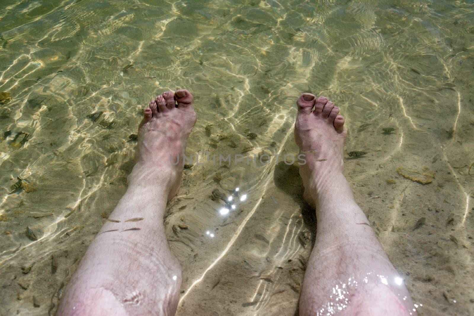 Feet relaxing in a natural fish spa near Rio Lagartos, Mexico