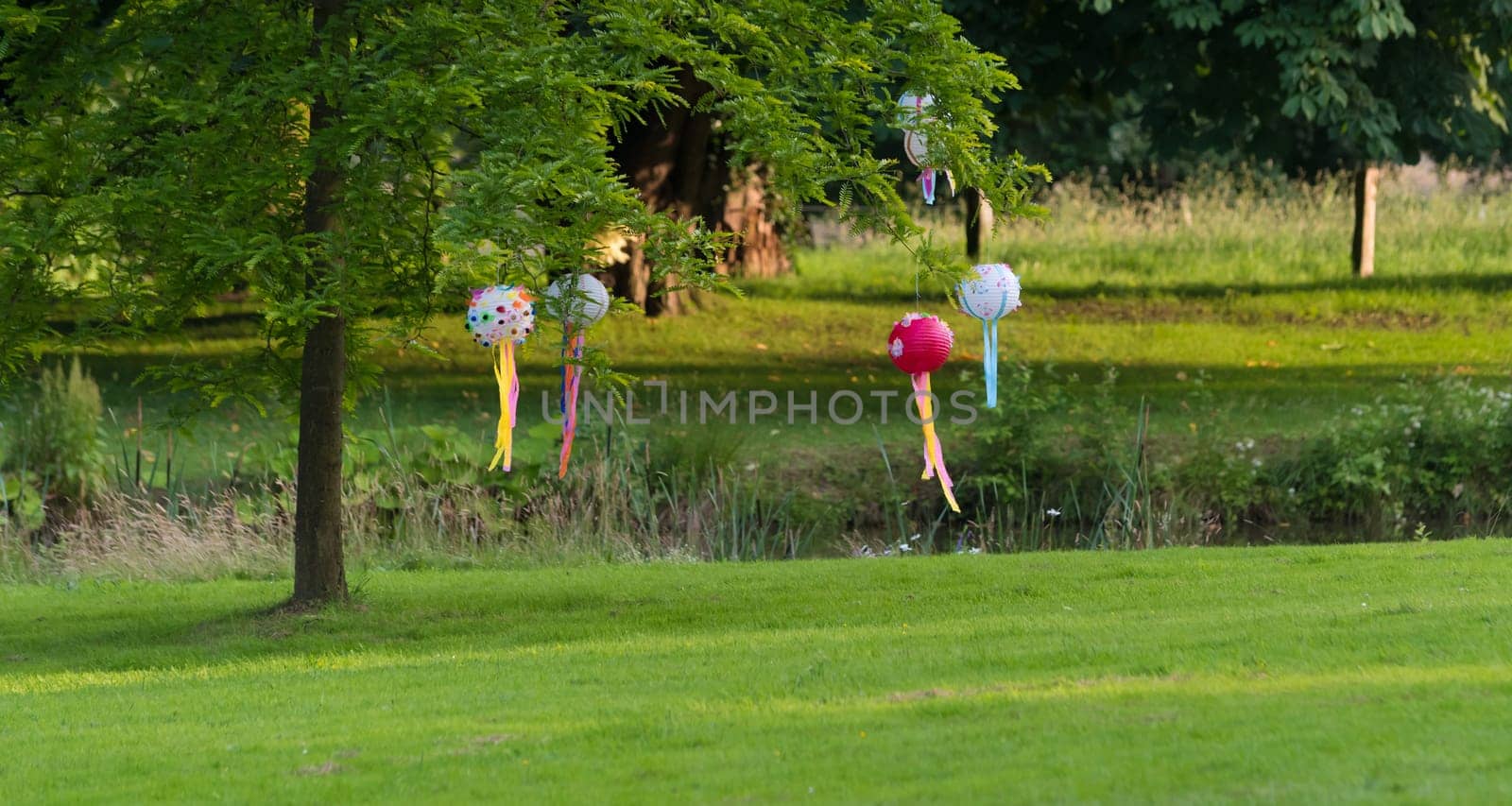 lampions hanging on a tree in a park