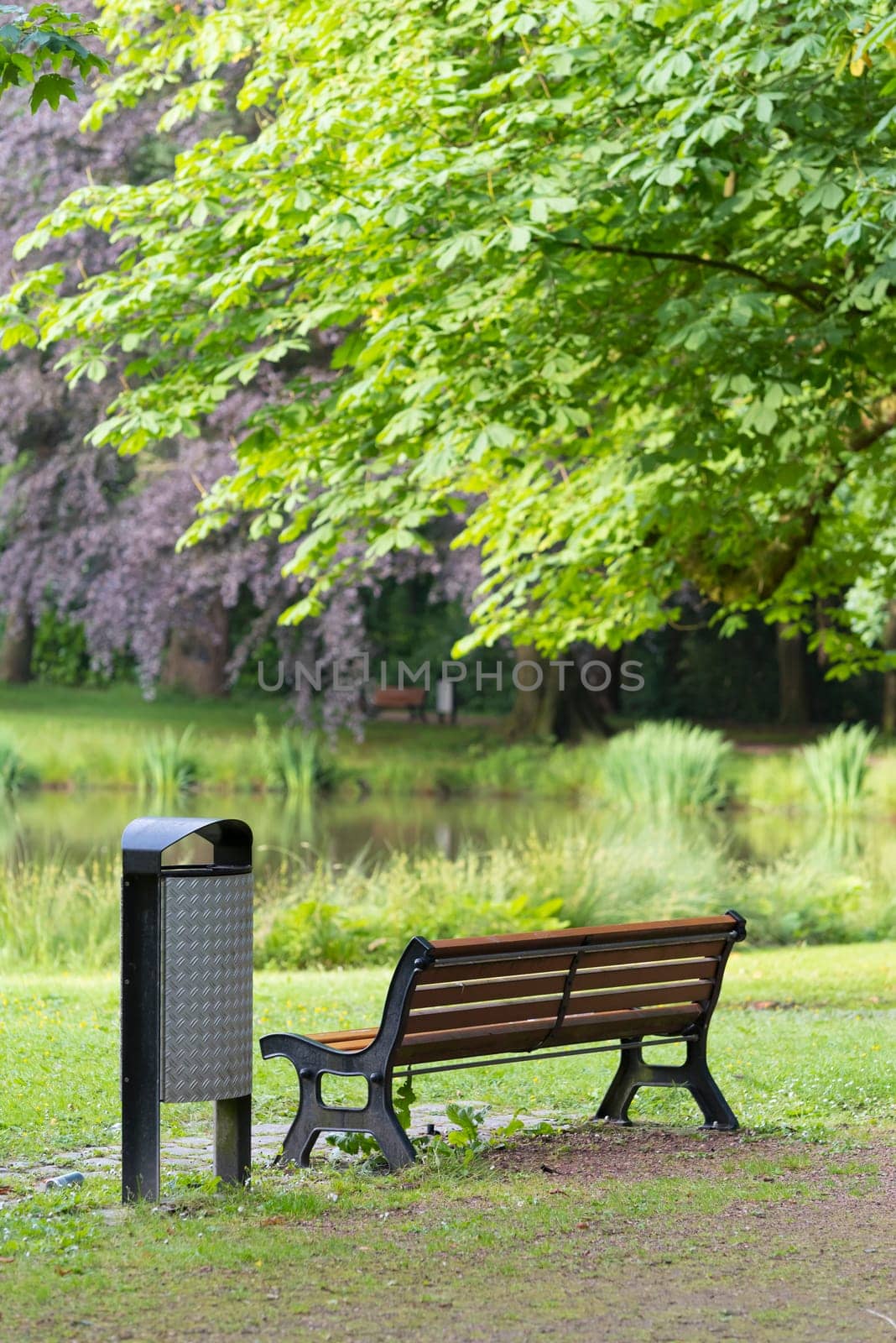 bench with dust bin next to it in a park