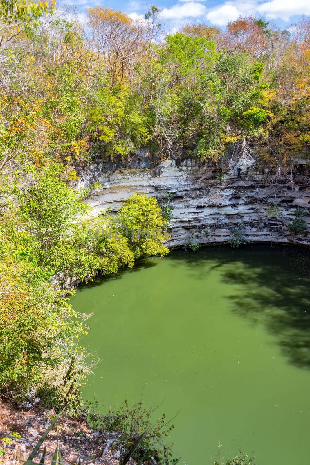 Vertical view of the Sacred Cenote at the ruins of Chichen Itza in Mexico